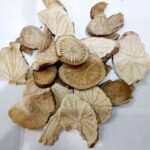Vị thuốc phòng kỷ: Những điều cần biết