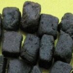 Tìm hiểu vị thuốc đởm nam tinh