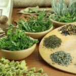 Các thảo dược tốt cho xương khớp