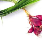 Cây tỏi đỏ có tác dụng gì?