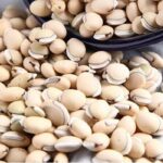 Công dụng của cây bạch biển đậu