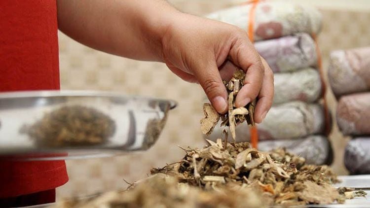 Các bài thuốc sử dụng vị thuốc xích thược cần dùng đúng liều lượng