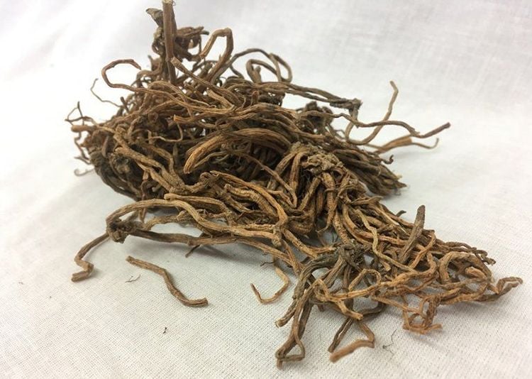 Long đởm thảo cần được sử dụng đúng liều lượng và theo chỉ dẫn