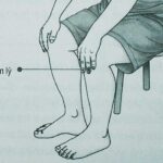 Vị trí và tác dụng huyệt túc tam lý