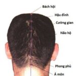 Vị trí và tác dụng huyệt cường gian