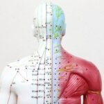 Vị trí huyệt thượng quản ở đâu?