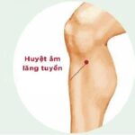 Vị trí và tác dụng của huyệt Âm Lăng Tuyền