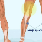 Huyệt địa cơ trị tiểu đường
