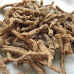 Thảo dược viễn chí có tác dụng gì?