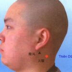 Vị trí và tác dụng của huyệt thiên dũ