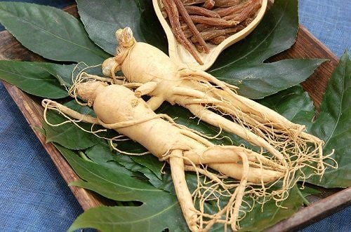 Nhân sâm là một trong những dược liệu quý trong Y Học Cổ Truyền và cũng được xem là loại thảo dược tốt cho tóc