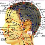 Tác dụng huyệt hoàn cốt