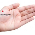 Vị trí và tác dụng huyệt ngư tế