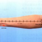 Vị trí và tác dụng huyệt linh đạo