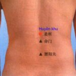 Tác dụng và vị trí huyệt huyền khu