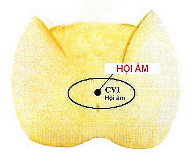 Bấm huyệt hội âm trị kích thích sinh lý