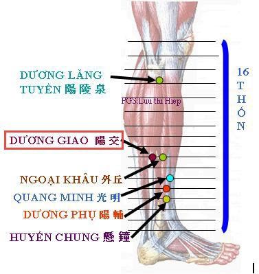 20211219_063407_210599_huyet_duong_giao_max_1800x1800_jpg_f12a620ee0 Vị trí huyệt dương giao.
