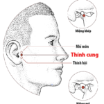 Tác dụng của huyệt thính cung