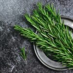 Cây hương thảo có tác dụng gì?
