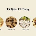 Công dụng của tứ quân tử thang