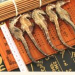 Những vị thuốc bổ thận tráng dương