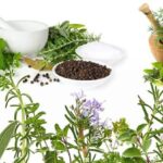 Các cây thuốc nam chữa viêm loét dạ dày tá tràng