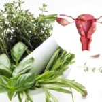Có nên điều trị u xơ tử cung bằng thuốc nam?