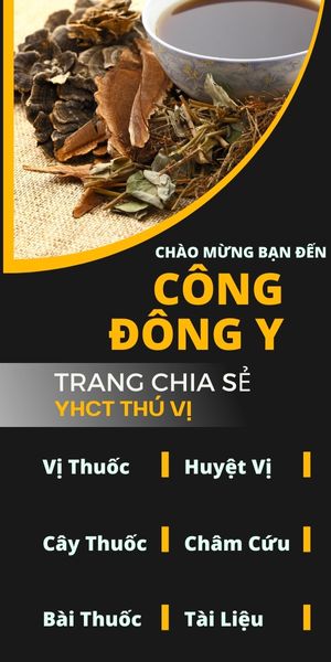 Công Đông Y