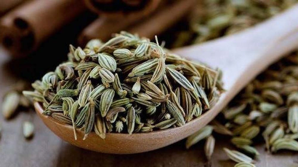 Tiểu hồi hương có thể dùng làm gia vị hoặc dược liệu chữa bệnh.