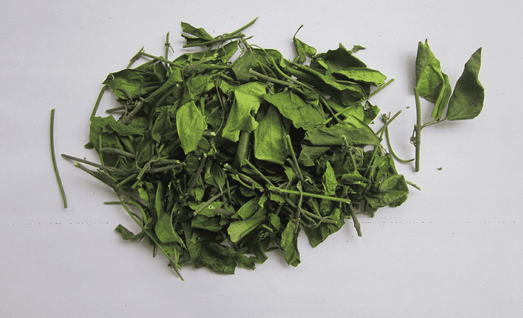 medium_20211127_173417_805070_tac_dung_cua_day_th_max_1800x1800_png_0a0d0ac171 Cách sử dụng dây thìa canh cần tuân theo chỉ định của thầy thuốc