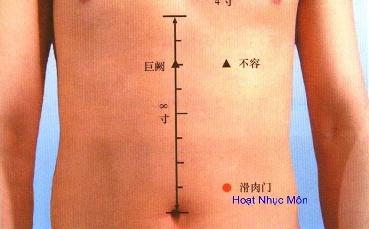medium_20211214_080649_783479_huyet_hoat_nhuc_mon_max_1800x1800_jpg_7a15bcc61e Huyệt hoạt nhục môn nằm ở vùng bụng, trên rốn 1 thốn