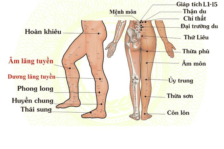 medium_20211217_144930_653963_thuoc_dong_y_chua_x_max_1800x1800_png_d9028bc0ab Bấm huyệt điều trị khô cứng khớp kết hợp với thuốc điều trị khô khớp