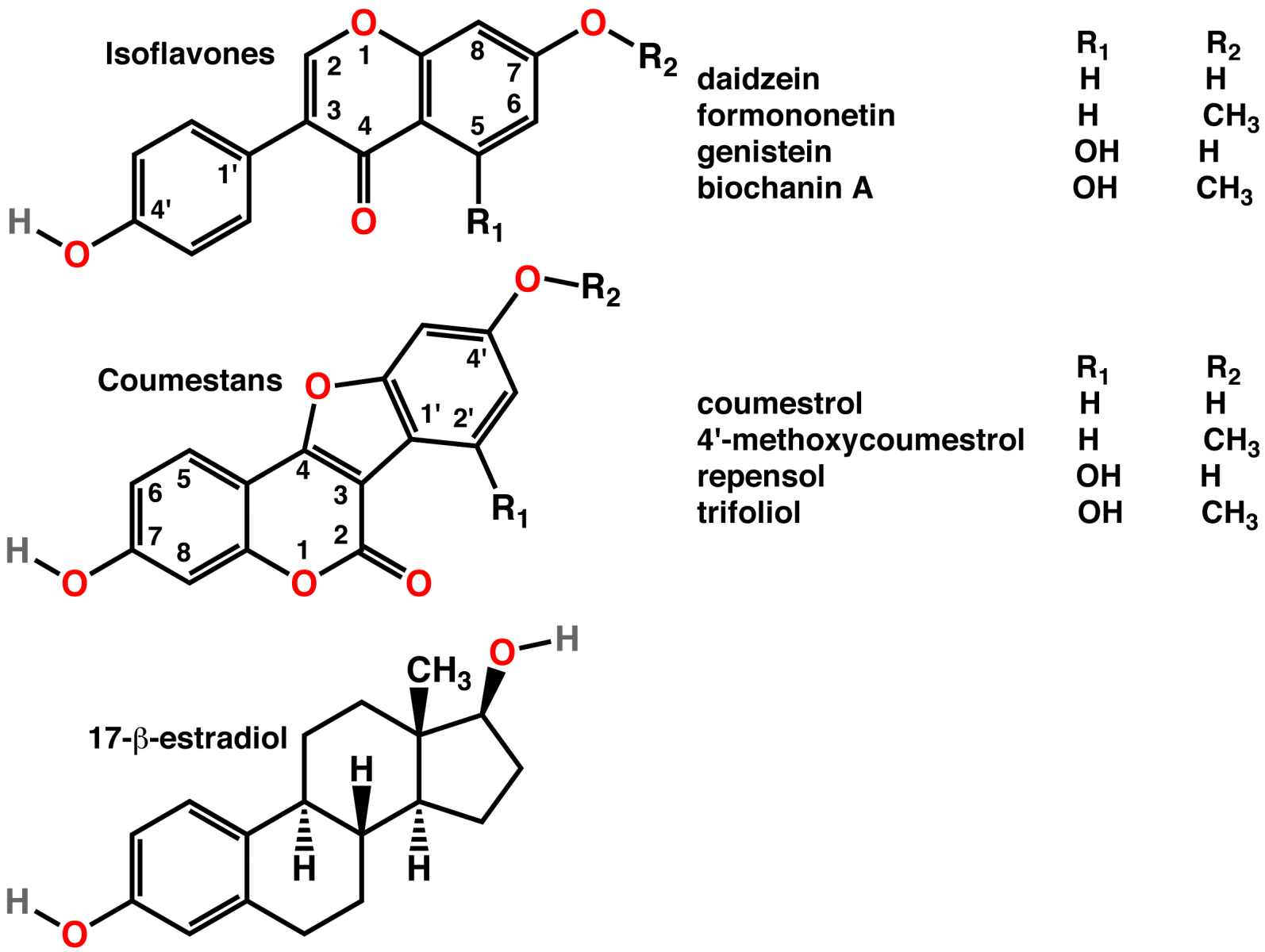 Sâm tố nữ giàu phytoestrogen