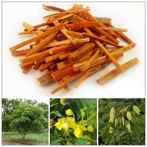 Tô mộc có tác dụng trong các bệnh lý như hành huyết, thông lạc, giảm đau, bế kinh nguyệt bế, trĩ...