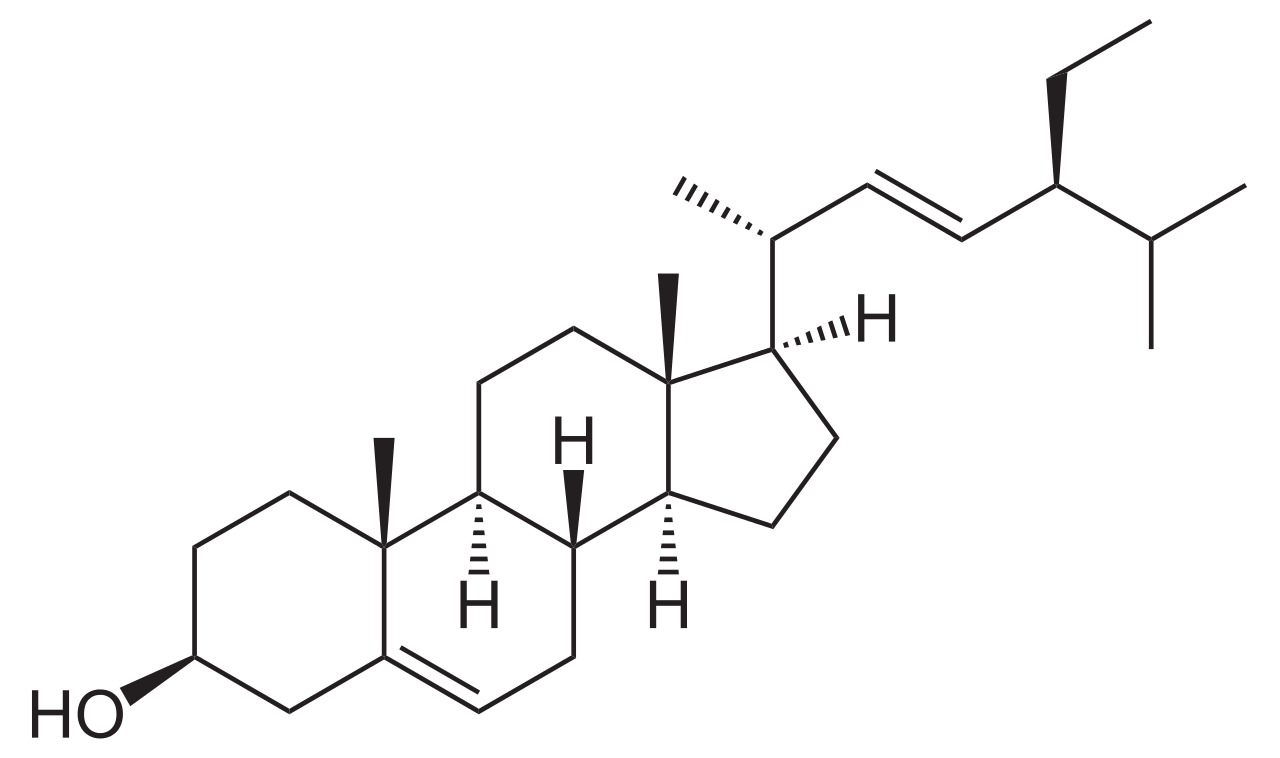 Hắc sâm có chứa phytosterol