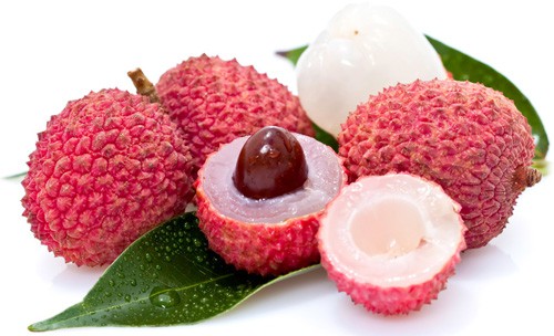 LỆ CHI HẠCH – Litchi chinensis Sonn